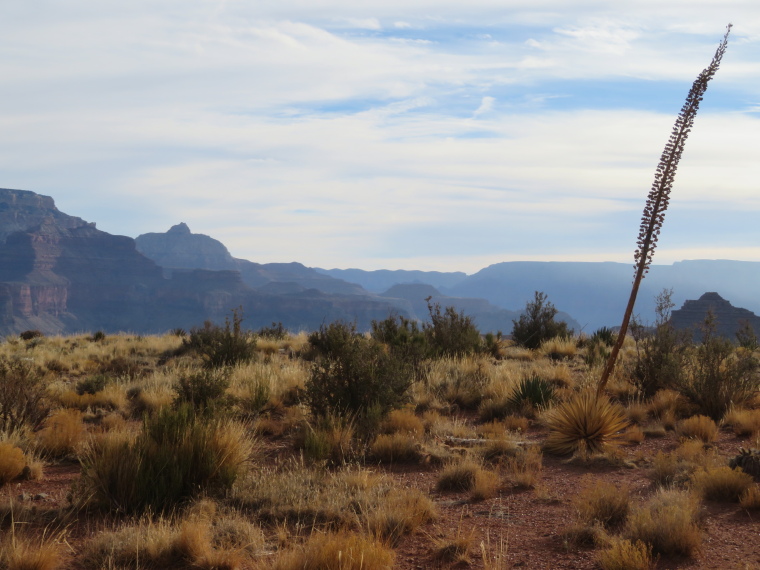 USA SW: Grand Canyon, South Kaibab Trail, , Walkopedia