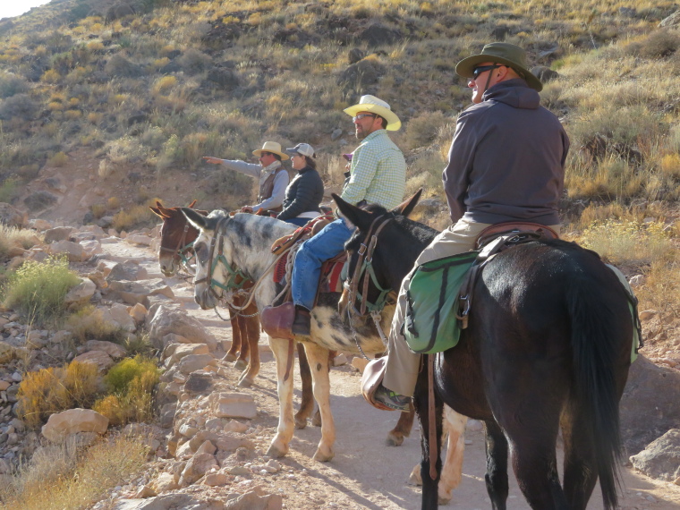 USA SW: Grand Canyon, South Kaibab Trail, On the way up from Phanton Ranch, Walkopedia