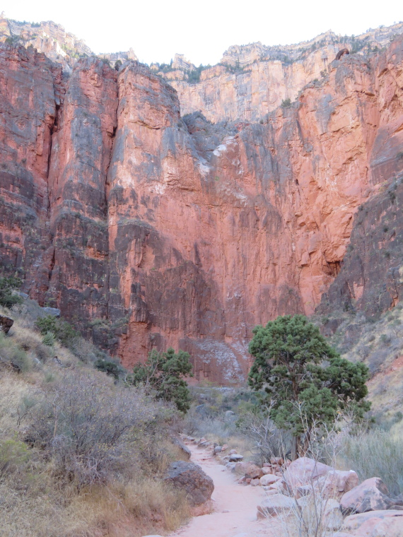 USA SW: Grand Canyon, Bright Angel Trail, , Walkopedia