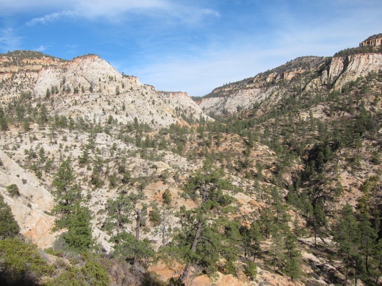 USA SW: Zion, East Rim and East Rim Summits Trails , Bowl where East Rim Trail comes in to meet Observation Point Trail, Walkopedia