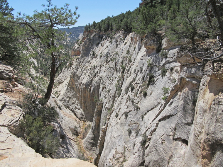 USA SW: Zion, East Rim and East Rim Summits Trails , Jolley Gulch, Walkopedia