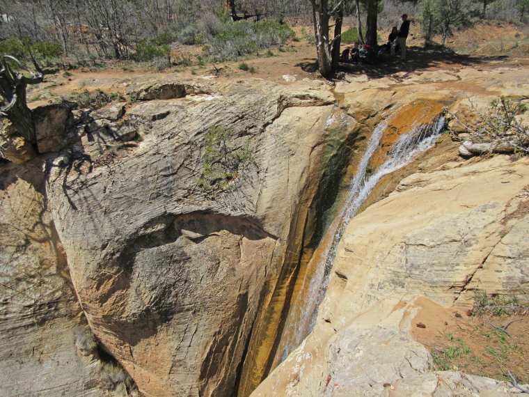 USA SW: Zion, East Rim and East Rim Summits Trails , Jolley Gulch Waterfall 2 , Walkopedia