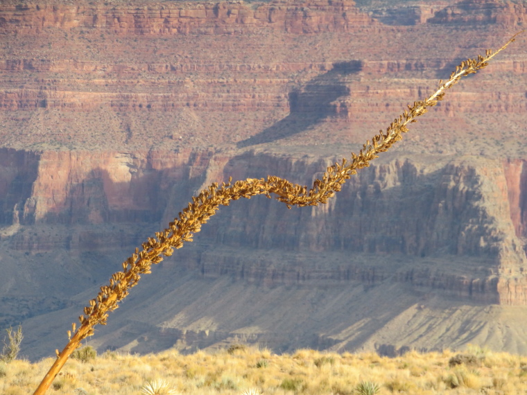 USA SW: Grand Canyon, Crossing the Canyon , South Kaibab Trail, Walkopedia