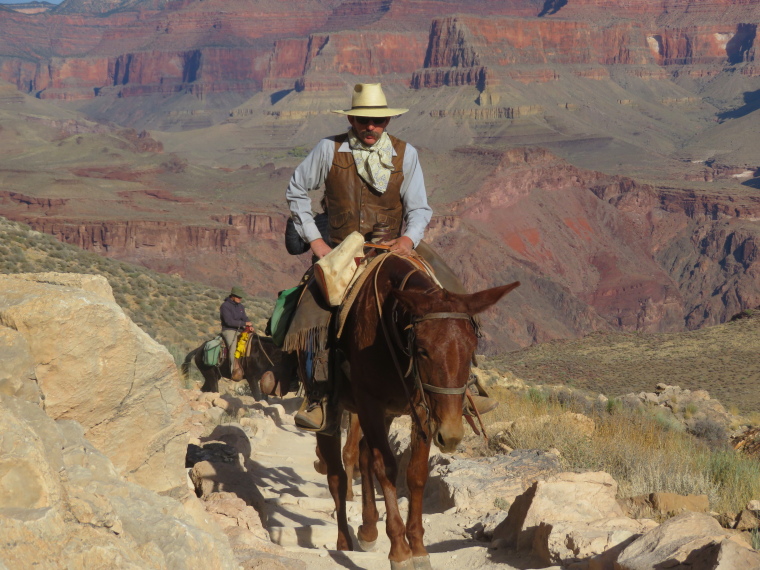 USA SW: Grand Canyon, Crossing the Canyon , Hamming it up, South Kaibab Trail, Walkopedia