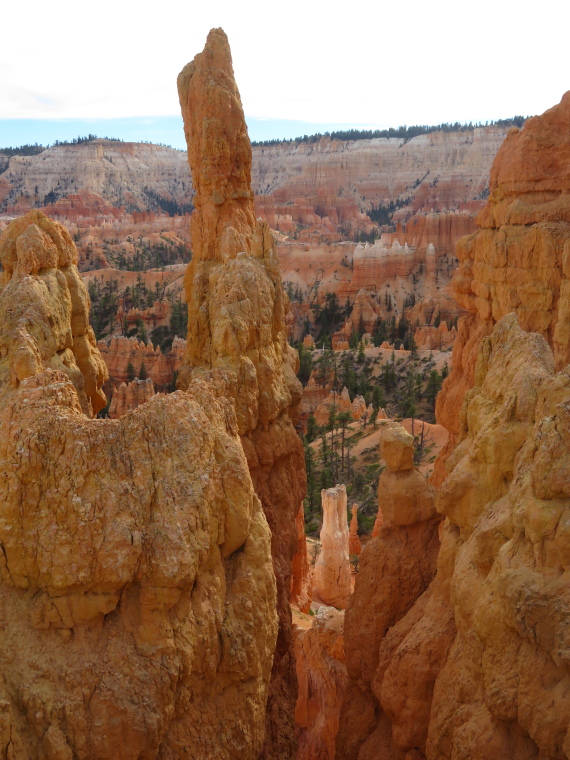 USA SW: Bryce Canyon, Queen's Garden Trails, , Walkopedia