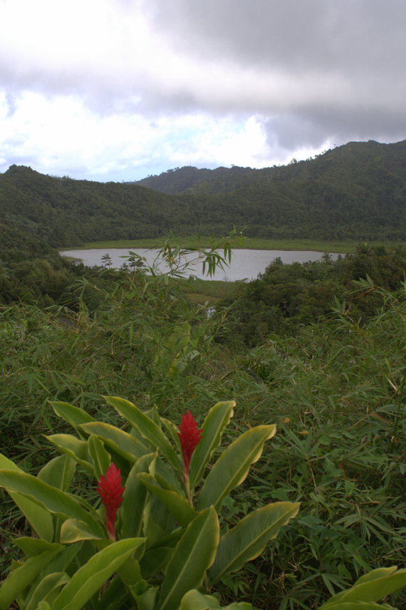 Grenada, Grand Etang and Mt Kua Kua, Crater Lake, Grand Etang National Park, Granada, Walkopedia