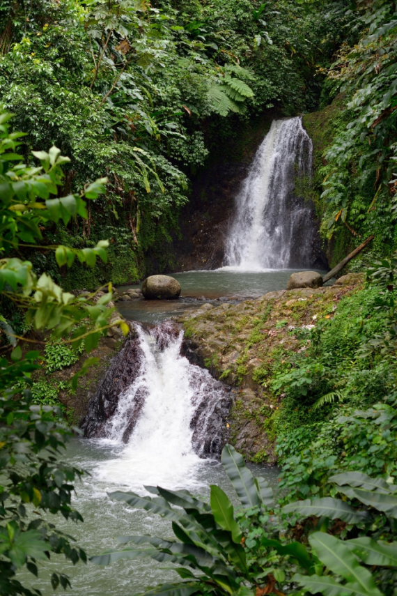 Grenada, Grand Etang and Mt Kua Kua, Seven Sisters Falls, Grand Etang National Park, Walkopedia