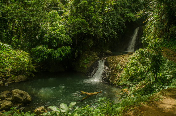 Grenada, Grand Etang and Mt Kua Kua, St Margaret Falls-Seven Sisters, Walkopedia