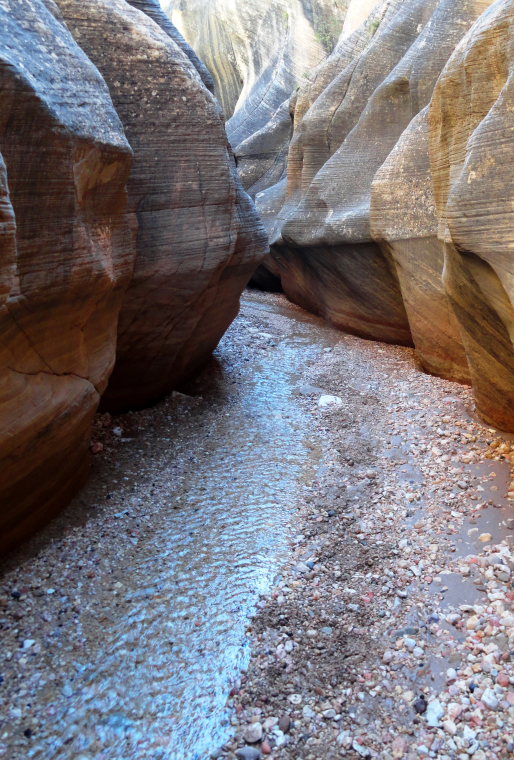 USA SW: Grand Staircase-Escalante, Grand Staircase-Escalante Nat Monument, Wilis Creek  , Walkopedia