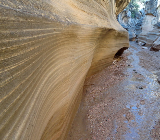 USA SW: Grand Staircase-Escalante, Grand Staircase-Escalante Nat Monument, Willis Creek Slot Canyon , Walkopedia