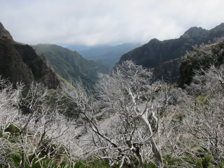 Portugal Madeira, Pico do Arieiro to Pico Ruivo, , Walkopedia