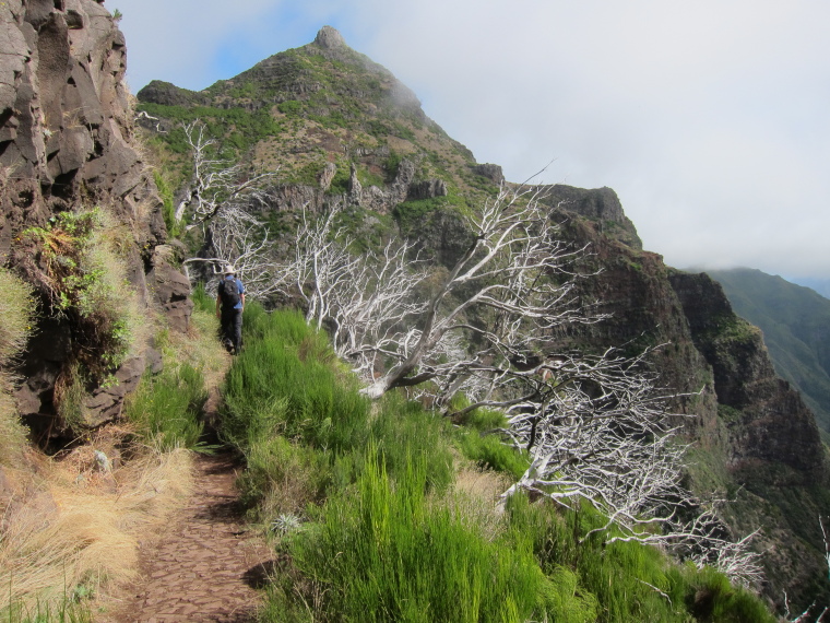 Portugal Madeira, Pico do Arieiro to Pico Ruivo, , Walkopedia