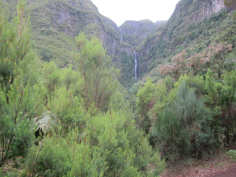 Portugal Madeira, Rabacal, 25 Fontes , , Walkopedia