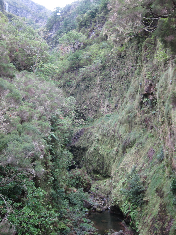 Portugal Madeira, Rabacal, 25 Fontes , , Walkopedia