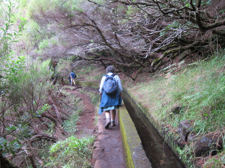 Portugal Madeira, Rabacal, 25 Fontes , , Walkopedia