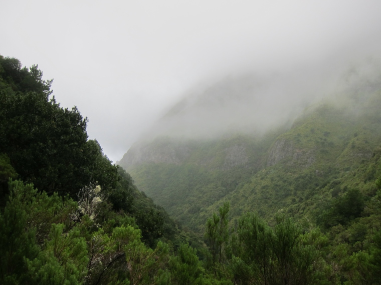 Portugal Madeira, Rabacal, 25 Fontes , , Walkopedia