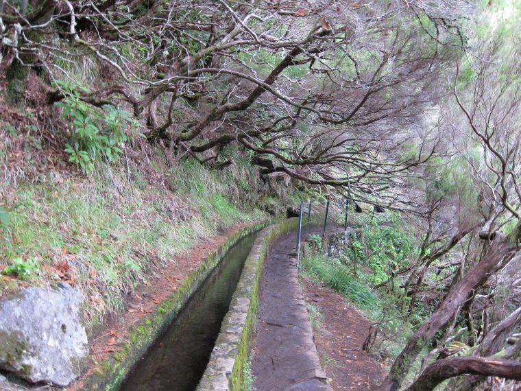 Portugal Madeira, Rabacal, 25 Fontes , , Walkopedia