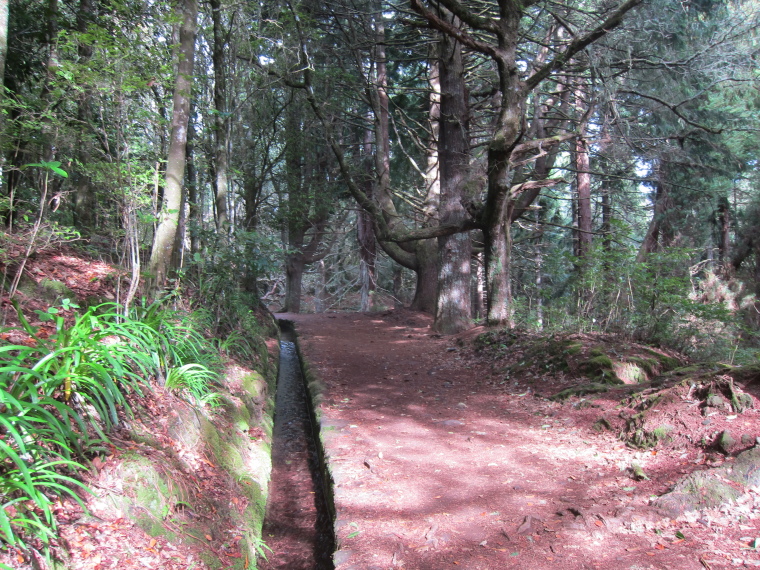 Portugal Madeira, Levada to Caldeirao Verde  , Gentle, green start, Walkopedia