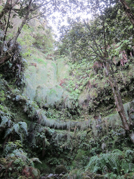 Portugal Madeira, Levada to Caldeirao Verde  , , Walkopedia