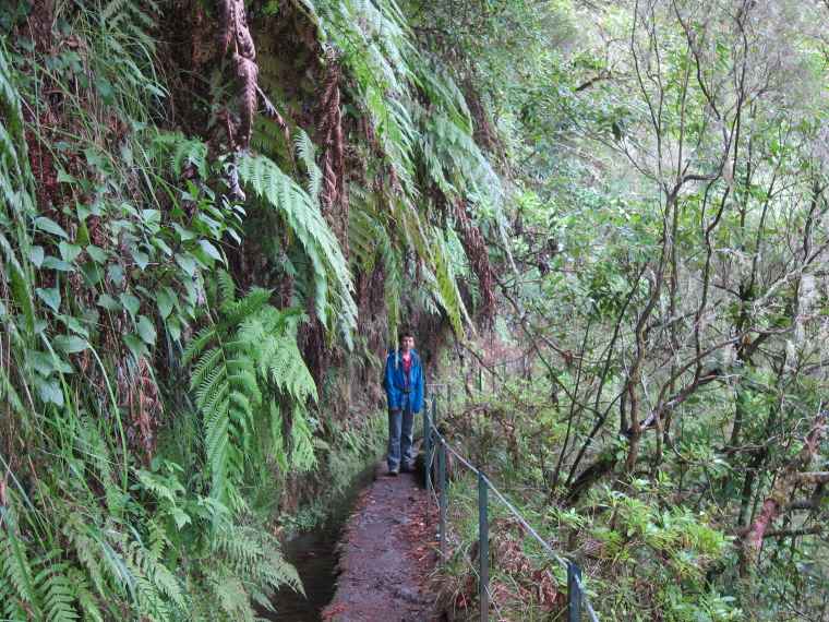 Portugal Madeira, Levada to Caldeirao Verde  , , Walkopedia