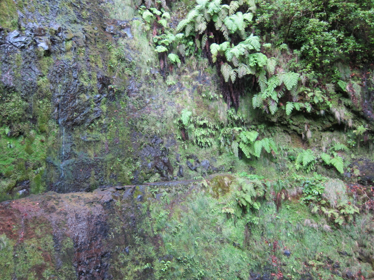 Portugal Madeira, Levada to Caldeirao Verde  , Levada in sheer cliff, Walkopedia