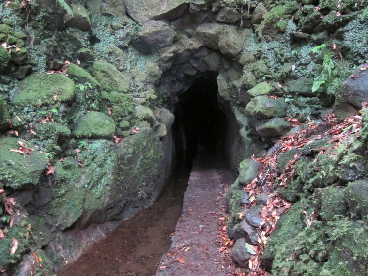 Levada to Caldeirao Verde  : Tunnel entrance - © William Mackesy