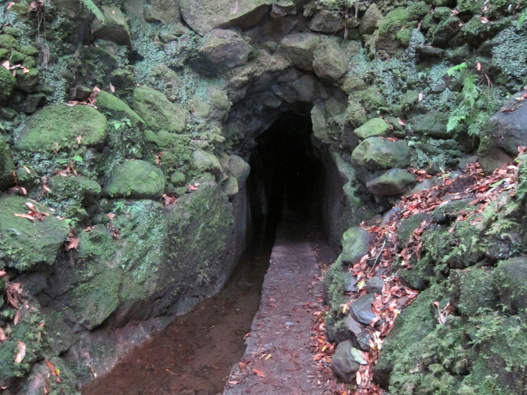 Portugal Madeira, Levada to Caldeirao Verde  , Tunnel entrance, Walkopedia