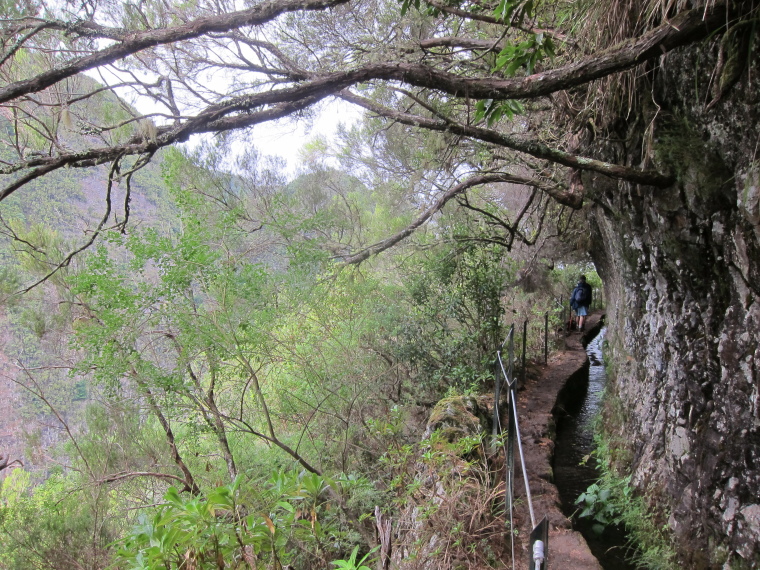 Portugal Madeira, Levada to Caldeirao Verde  , , Walkopedia