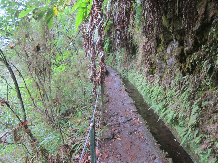 Portugal Madeira, Levada to Caldeirao Verde  , , Walkopedia