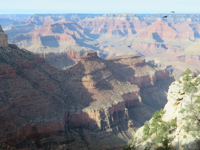 USA SW: Grand Canyon, Rim Trails, , Walkopedia