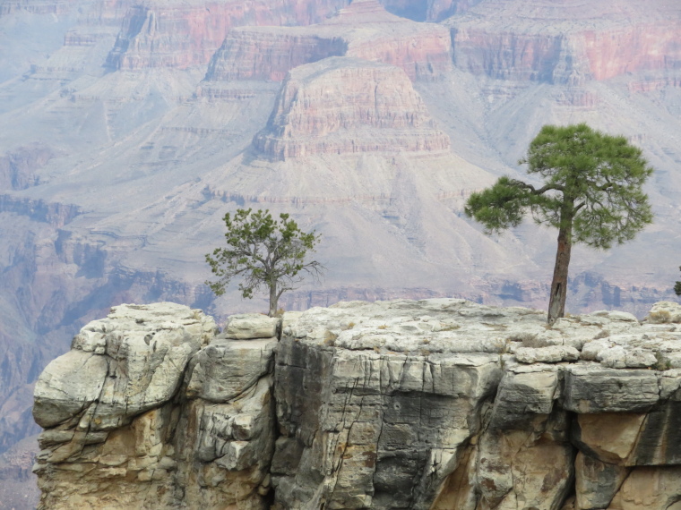 USA SW: Grand Canyon, Rim Trails, , Walkopedia