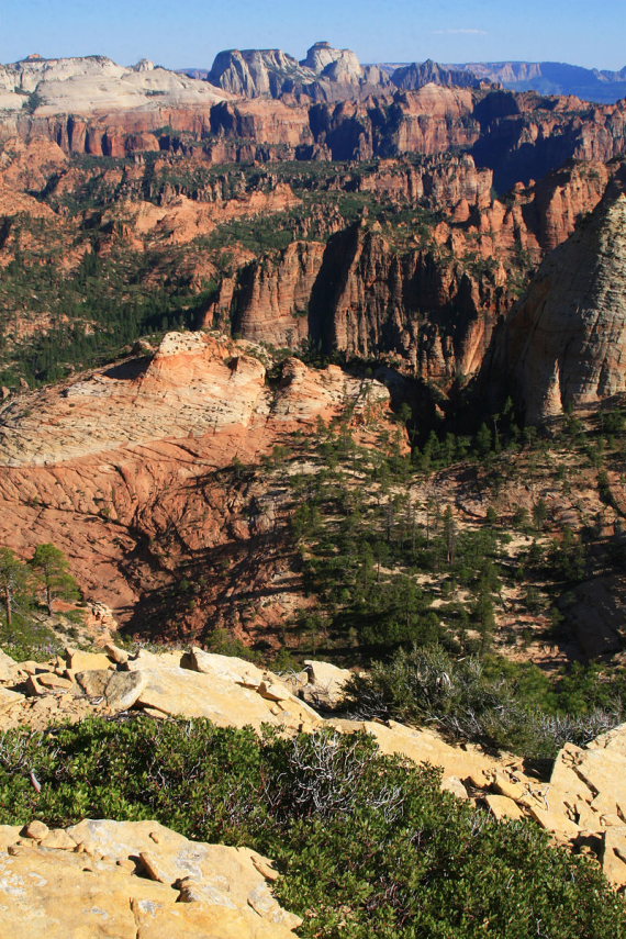 USA SW: Zion, Wildcat Canyon and Northgate Peaks, Northgate Peaks Trail , Walkopedia