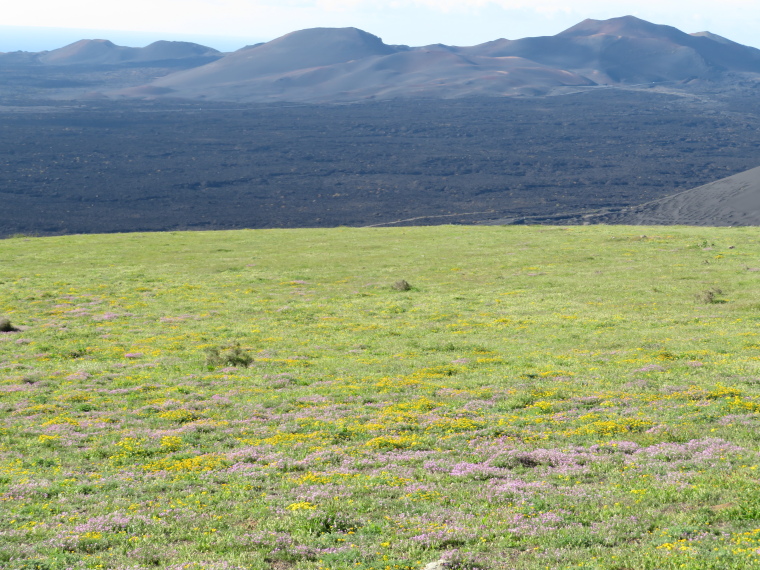 Spain Canary Islands: Lanzarote, Lanzarote, North over lava fields from Tinsoria summit top meadow, Walkopedia