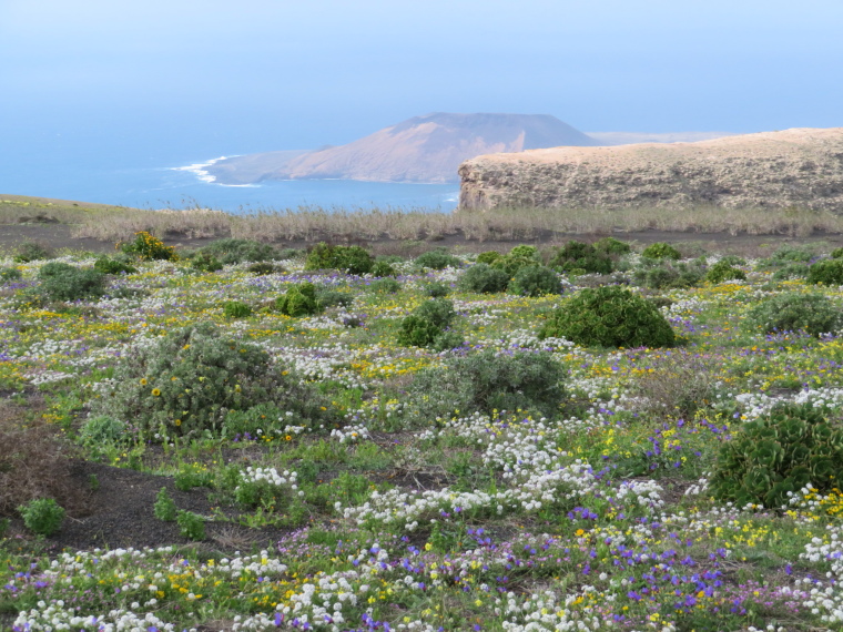 Spain Canary Islands: Lanzarote, Lanzarote, Plateau top meadow near Los Helechos, Walkopedia