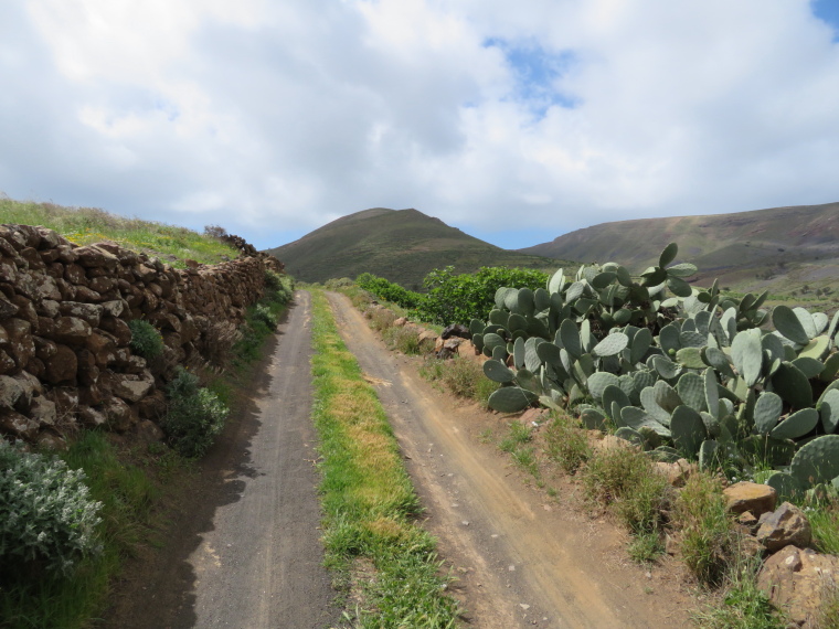 Spain Canary Islands: Lanzarote, Valleys West of Haria , Beginning of Castillejos valley track, Walkopedia