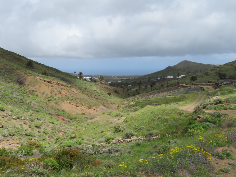 Spain Canary Islands: Lanzarote, Valleys West of Haria , Back down the Castillejos valley all the way to the east coast, Walkopedia