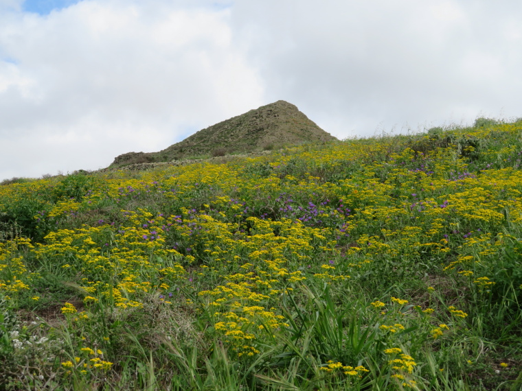 Spain Canary Islands: Lanzarote, Valleys West of Haria , , Walkopedia