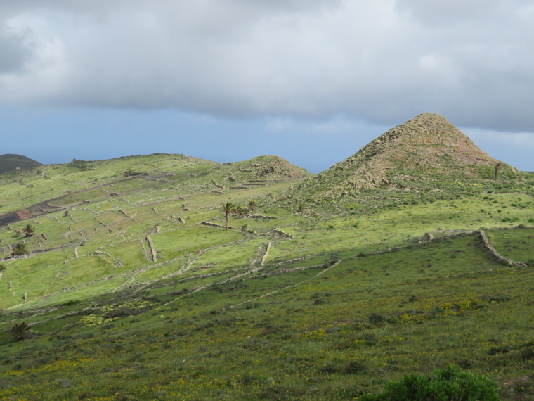 Spain Canary Islands: Lanzarote, Valleys West of Haria , Ridge between the valleys, high terraces, Walkopedia