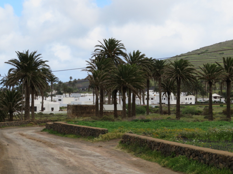 Spain Canary Islands: Lanzarote, Valleys West of Haria , , Walkopedia