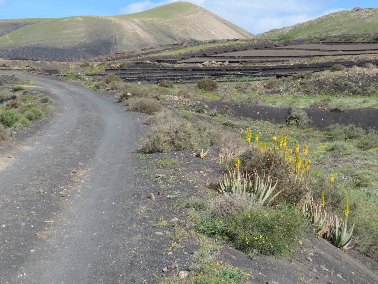 Spain Canary Islands: Lanzarote, La Geria; Montana Tinasoria , Beginning of GR 131 track, Walkopedia