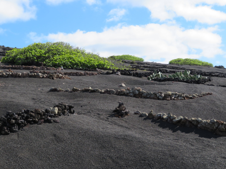 Spain Canary Islands: Lanzarote, La Geria; Montana Tinasoria , , Walkopedia