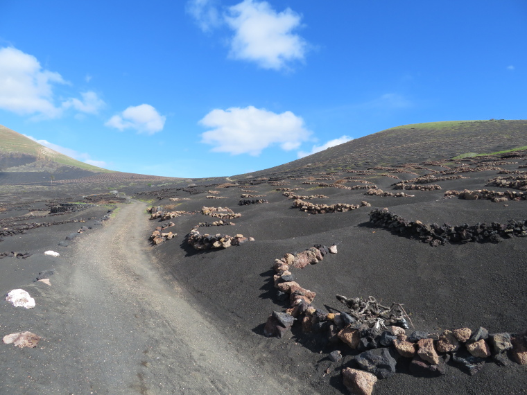 Spain Canary Islands: Lanzarote, La Geria; Montana Tinasoria , , Walkopedia