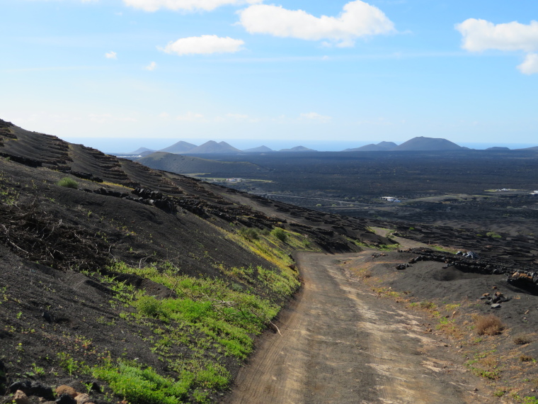 Spain Canary Islands: Lanzarote, La Geria; Montana Tinasoria , Back down the track, Walkopedia