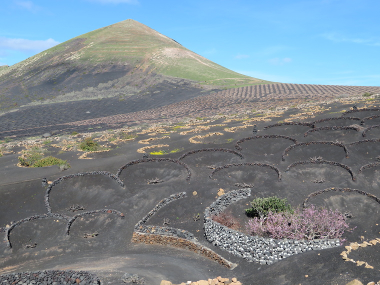 Spain Canary Islands: Lanzarote, La Geria; Montana Tinasoria , , Walkopedia