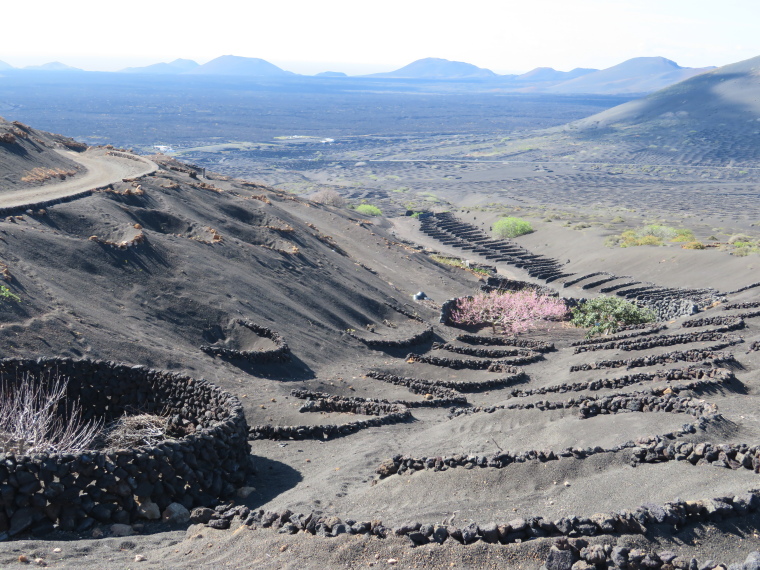 Spain Canary Islands: Lanzarote, La Geria; Montana Tinasoria , , Walkopedia