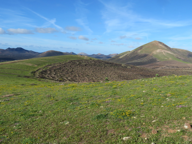 Spain Canary Islands: Lanzarote, La Geria; Montana Tinasoria , , Walkopedia