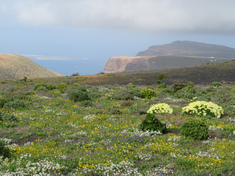 Spain Canary Islands: Lanzarote, Los Helechos and West of Maguez , , Walkopedia