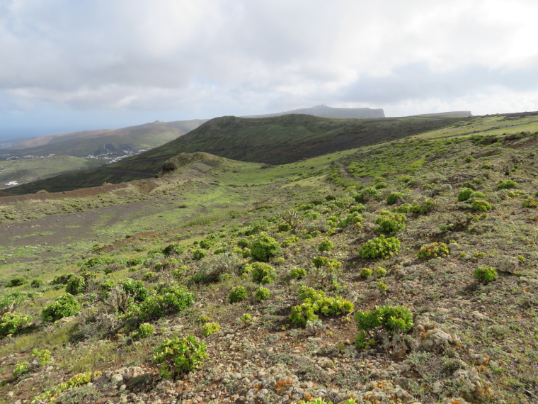 Spain Canary Islands: Lanzarote, Los Helechos and West of Maguez , , Walkopedia