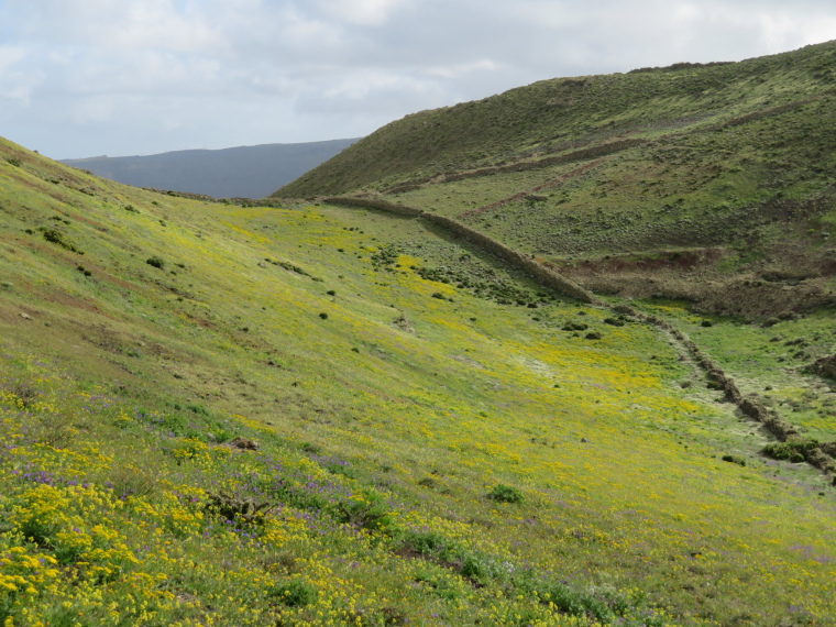 Spain Canary Islands: Lanzarote, Los Helechos and West of Maguez , Could be UK's Lake District..., Walkopedia