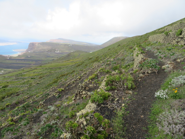 Spain Canary Islands: Lanzarote, Los Helechos and West of Maguez , Path through old terraces, Walkopedia